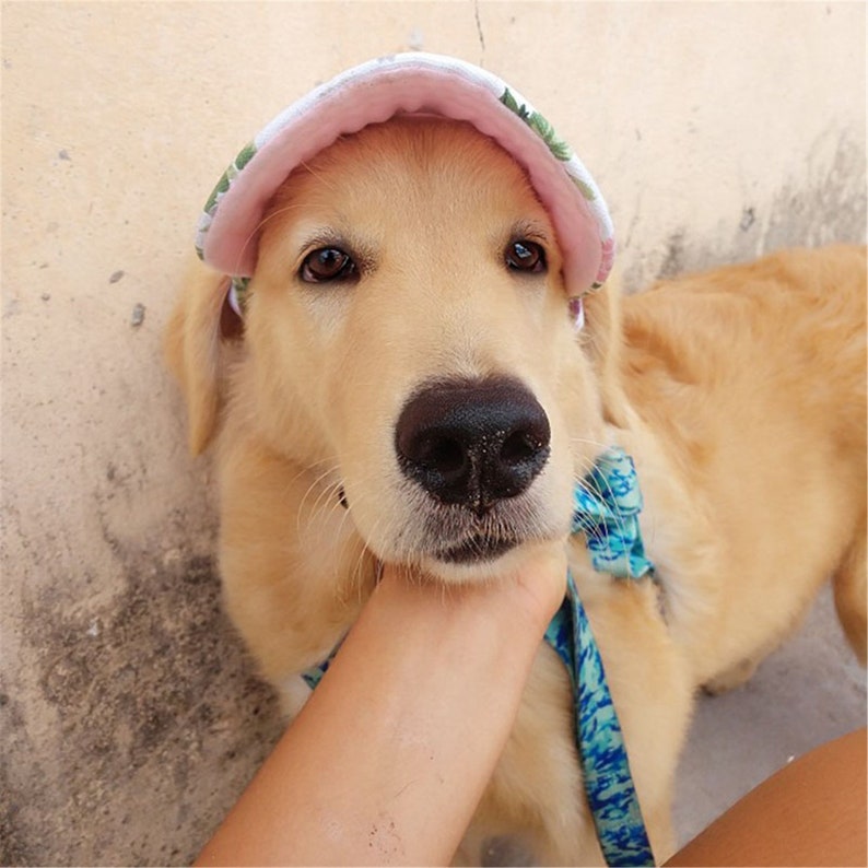 Pet Hat with Ear Holes Adjustable Baseball Cap for Large Etsy