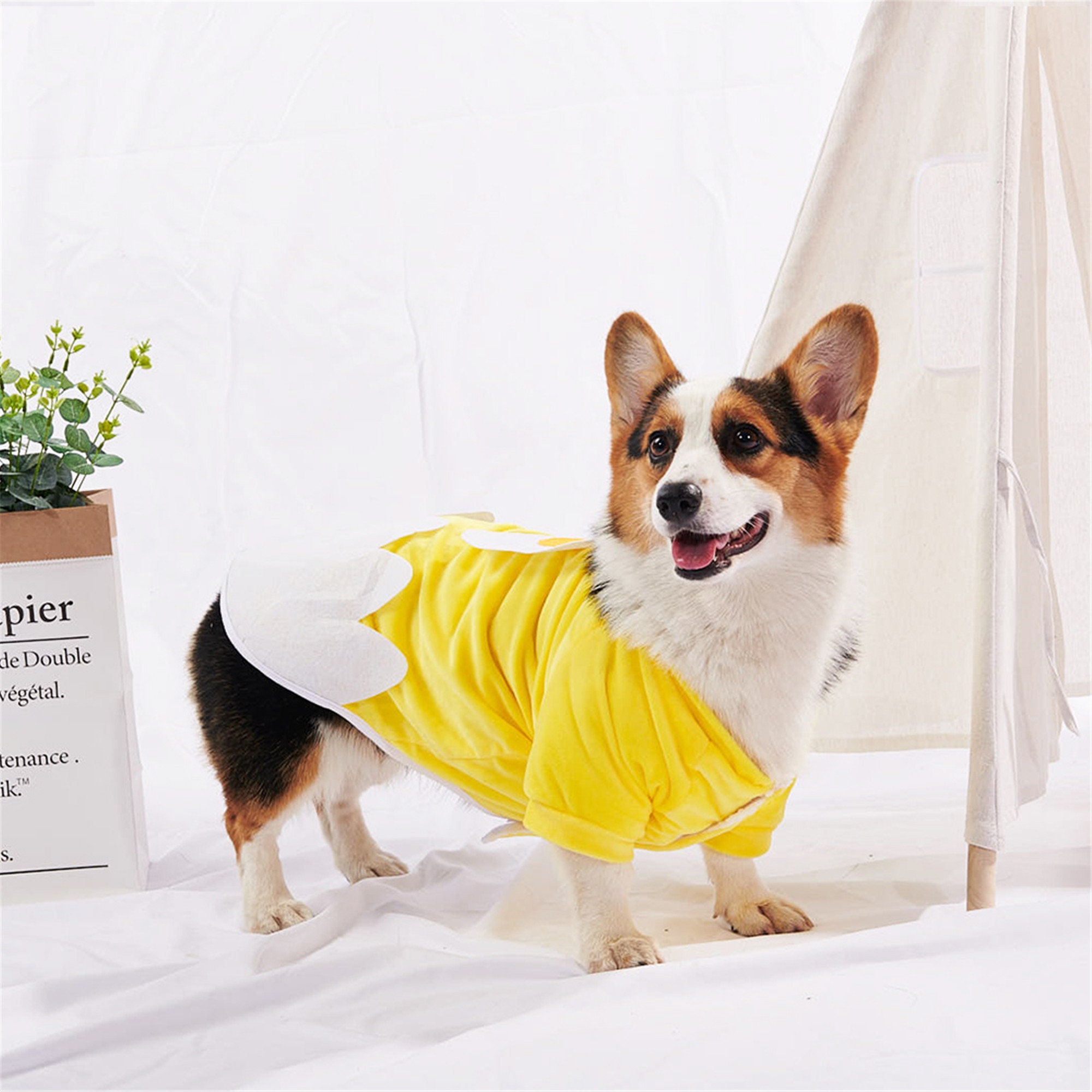 Dog Clothes for Small Dogs Cute Poached Egg summer Pets tshirt Etsy