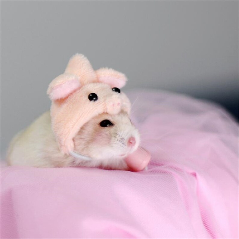 Small Animals Hamster Hats Plush Warm Pet Rabbit Guinea Pig Hams Small Animals Hamster Hats Plush Warm Pet Rabbit Guinea Pig Hams