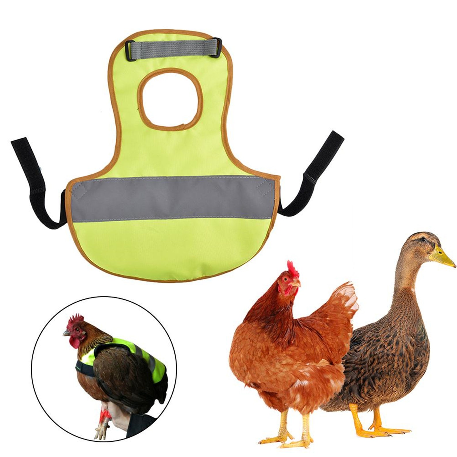 Adjustable Chicken Vest Pet Reflective Vest Chicken Clothes Etsy