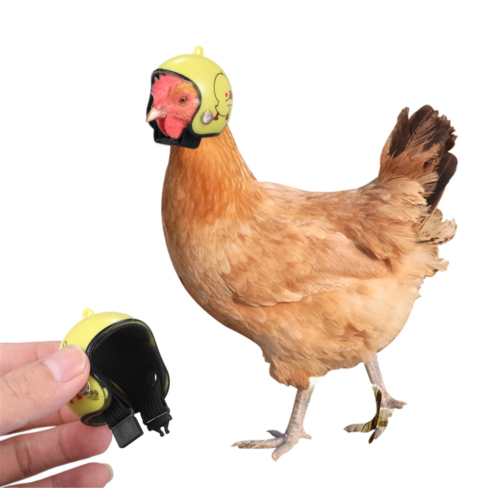 Pet Funny Protective Chicken Helmet Small Pet Hard Hat Bird Etsy