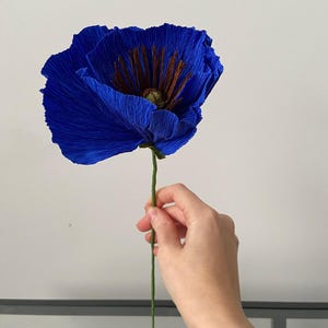 Papavero / papavero di carta crespa / papaveri di carta / fiore fatto a mano / papaveri di carta dall'aspetto realistico / / fiore di papavero