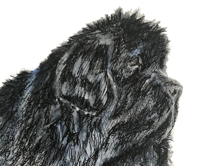 Giclee Print of Newfoundland Dog Pen and Ink + Watercolor -  Newfy Lover Gift- Newfoundland Dog Art- Black Newf Watercolor