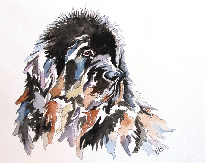 Giclee Print of Colorful Newfoundland Dog Water Color - Print of Original Water Color on Archival Water Color Paper