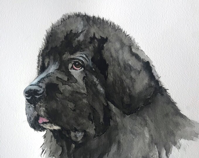 Giclee Print of Landseer Newfoundland Watercolor -Watercolor Print on Archival Bright Watercolor Paper-Newf Lover Gift-Landseer Dog Art