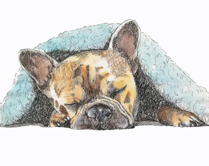 Giclee Print of French Bull Dog Pen and Ink + Watercolor - Print of Original Watercolor on Archival Watercolor Paper - Frenchie Lover Gift
