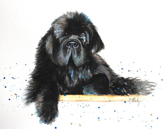 Giclee Print of Black Newfoundland Dog Water Color - Print of Original Water Color on Archival Water Color Paper