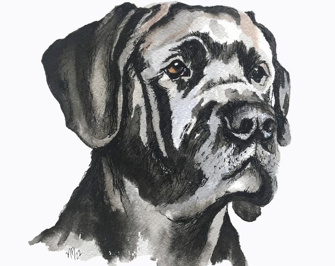 Great Dane Watercolor Pen and Ink  -  Giclee Print on Archival Cotton Water Color Paper- Great Dane Art- Great Dane Lover Gift