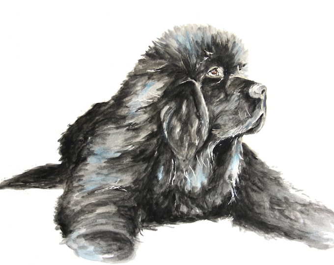 Giclee Print of Newfoundland Puppy Water Color - Original Water Color Print on Archival Water Color Paper