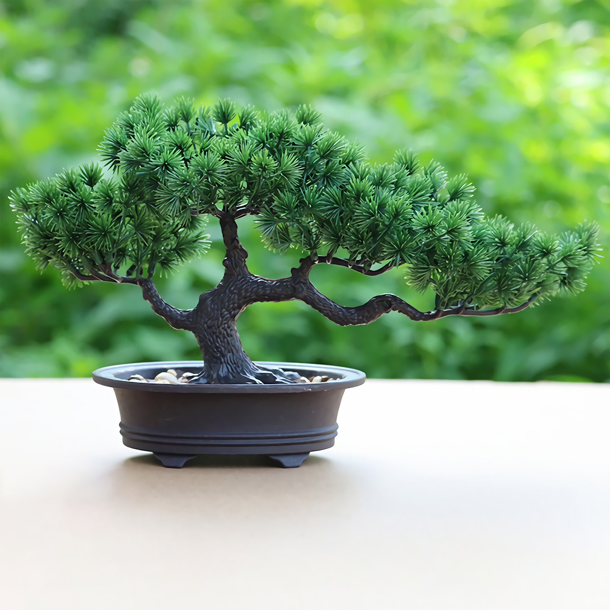 Juniper Bonsai Tree Zen Garden With Pool Fishman 