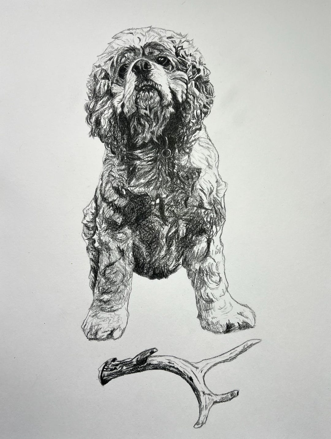 Custom Graphite Pet Portrait – Hand-drawn From Your Photo - Etsy