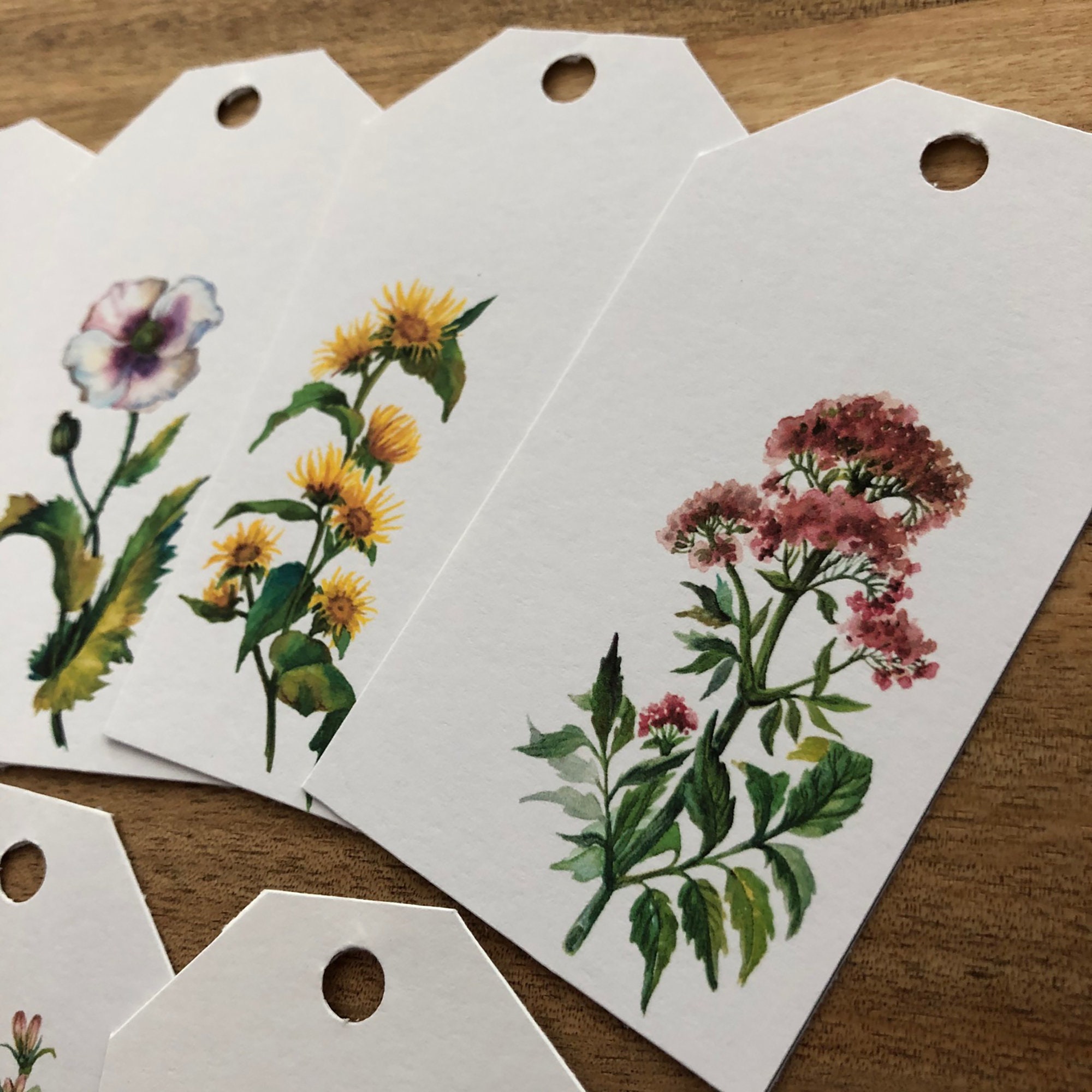 Botanical Floral Gift Tags Printable Set of 8 Etsy