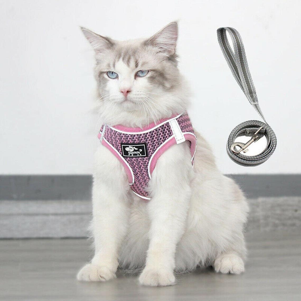 Rabbitgoo Cat Harness Reflective Walking Adjustable Cat Etsy