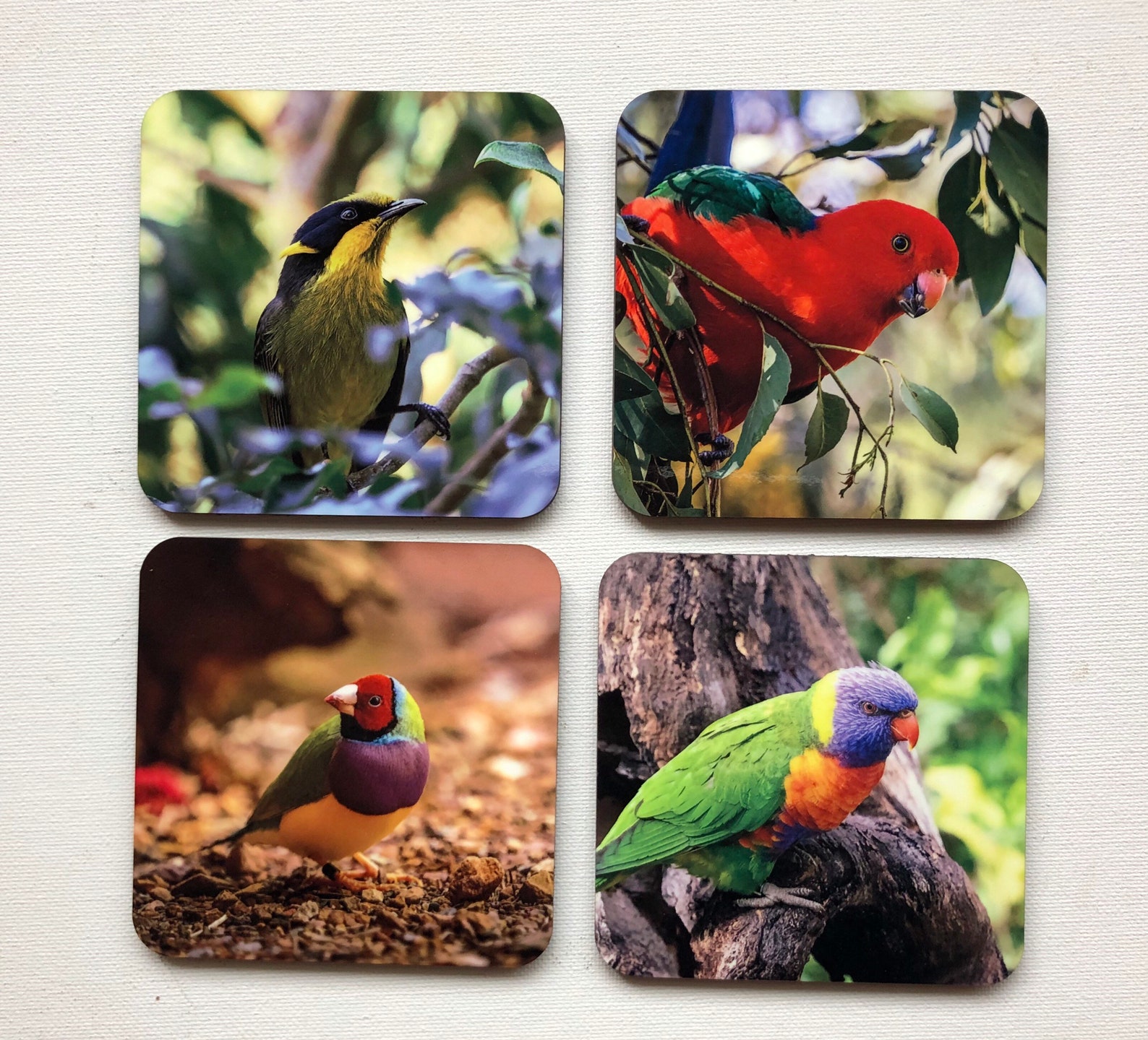 Set Of 2 Coasters Nature Coaster Flower Coaster Australian Etsy