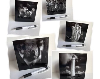 5 pack Black and White blank greeting cards, black and white photo cards, Note Cards, thank you cards, card packs,