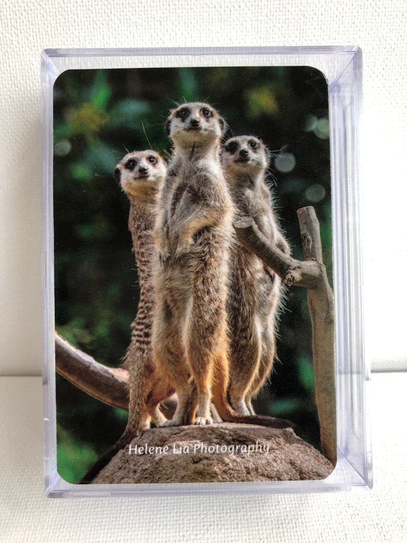 gifts for kids, Meerkat Prints poker cards Game cards Deck of Cards Meerkat Playing Cards