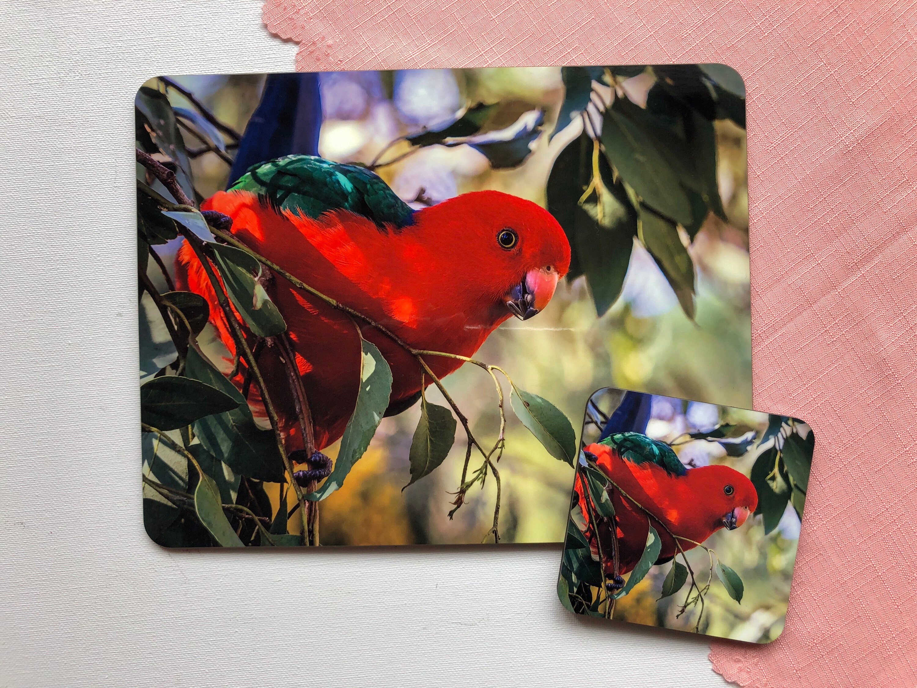 Australian Birds Placemats Set Bird Decor Bird Placemats Etsy Australia