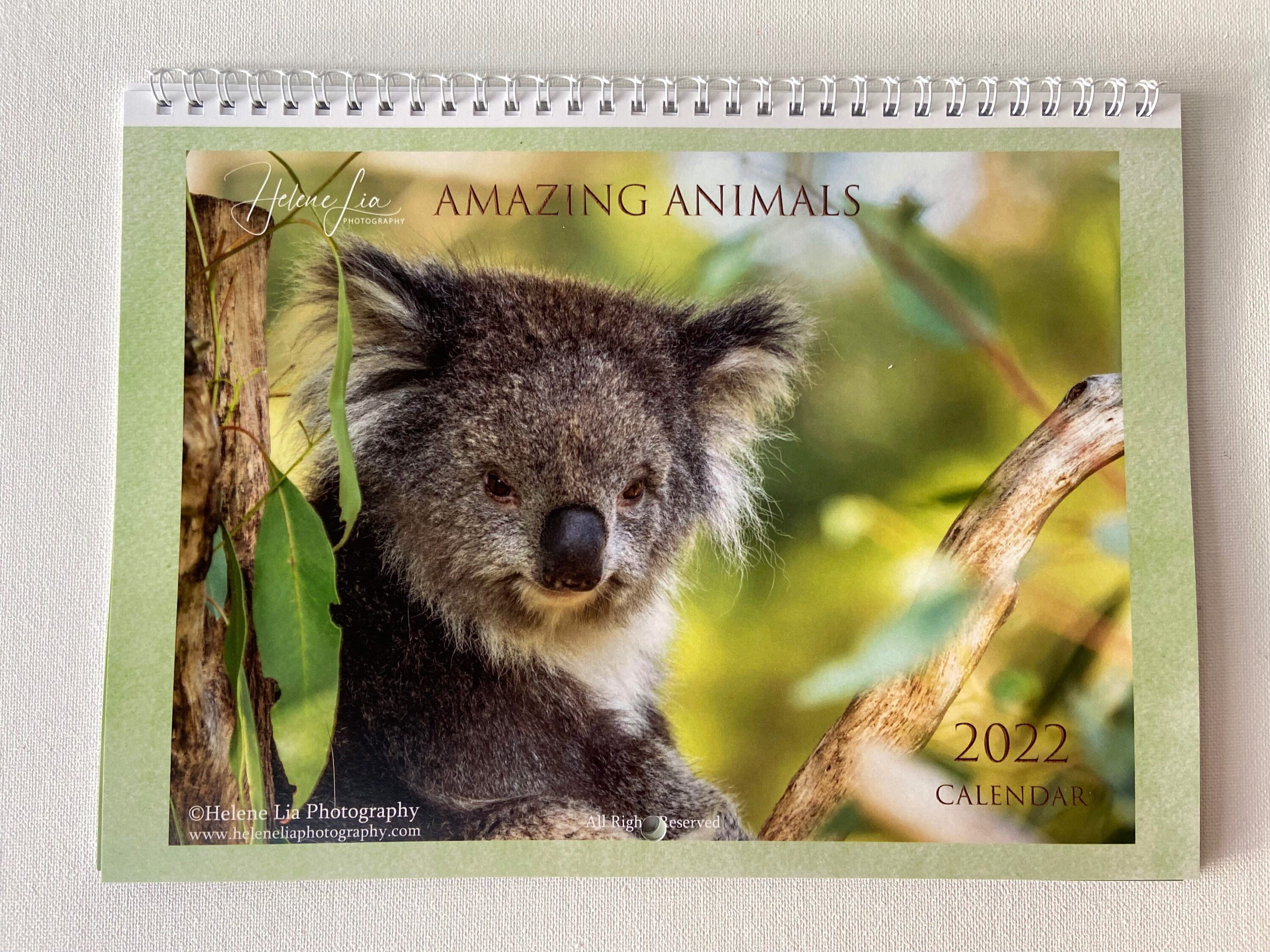 2022 Animal Wall Calendar Monthly Planner Calendar 2022 | Etsy