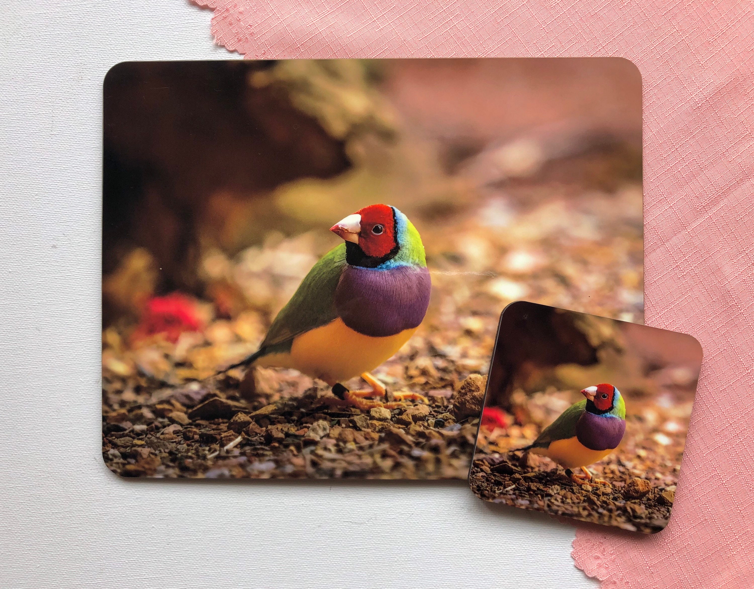 Australian Birds Placemats Set Bird Decor Bird Placemats Etsy Australia