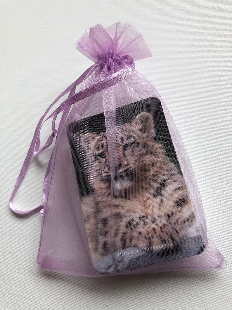 Snow Leopard Playing Cards Snow Leopard Gift Deck of Cards | Etsy Australia
