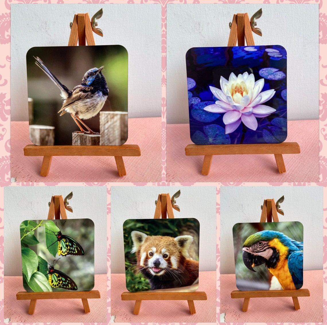 Nature and Wildlife Drink Coasters animal coasters nature Etsy