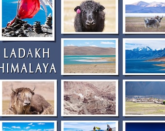 Himalaya Gebirge 12 Fine Art Postkarten Set Einzel Karte Ladak Landschaft Yak Tiere See Foto Buddhismus Gruß Umschlag Home Dekor