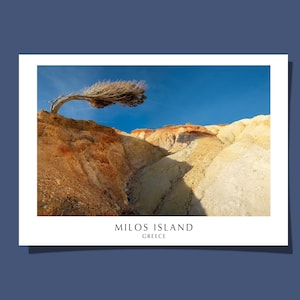 Poster/Cartolina dell'isola di Milos, Grecia, natura mediterranea, albero, paesaggio, soleggiato, giorno d'estate greco, arte, stampa giclée, regalo, arrotolato, senza cornice