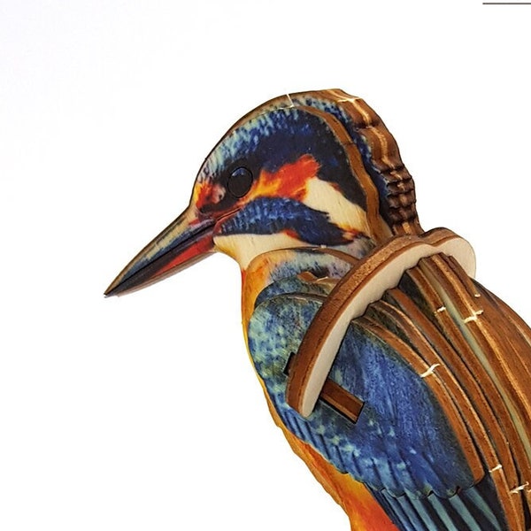 Model Bird Kits Etsy