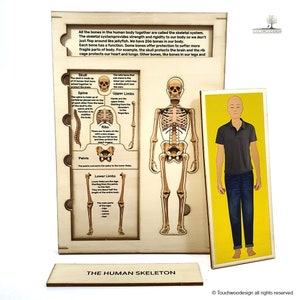 The Human Skeleton - Montessori toys - educational wooden puzzles laser art - colored - handmade - non-toxic educational toys for kids