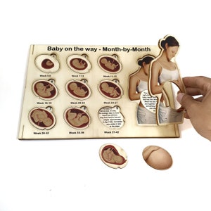 Baby on the way - Month by Month - educational wooden puzzles for children - laser art - non-toxic toys for kids - handmade