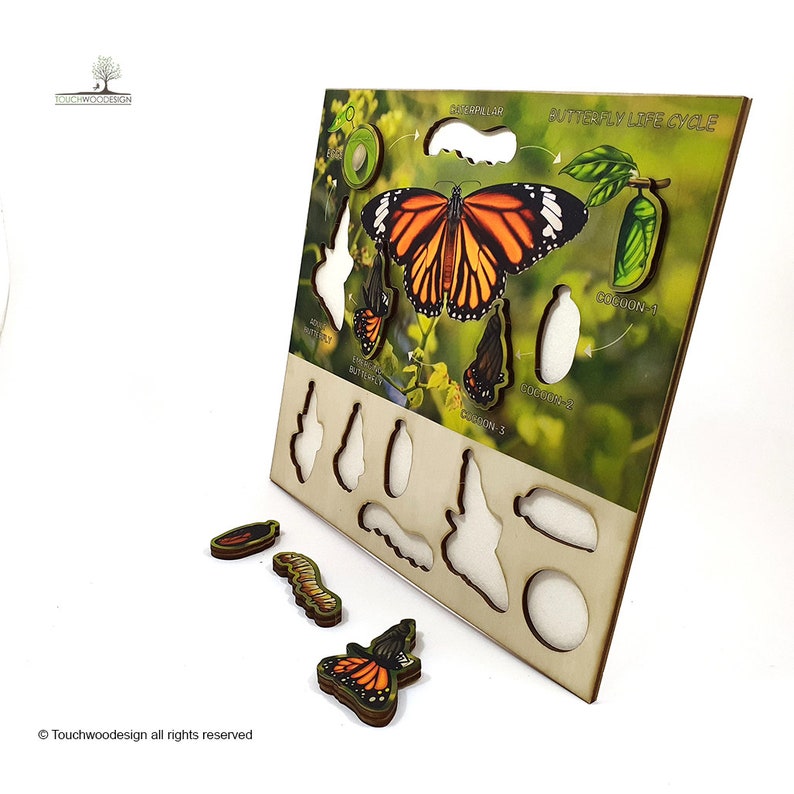 Butterfly Life Cycle Wooden Puzzle: Montessori Educational Toy - Etsy
