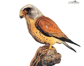 3D houten puzzelset Lesser Kestrel: educatief doe-het-zelfmodel