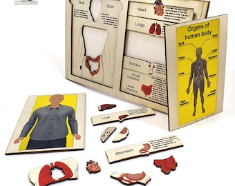 Anatomie-montessoripuzzel orgel: educatief houten speelgoed