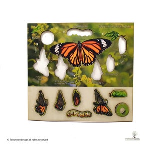 Schmetterling Lebenszyklus - Holzpuzzle - Montessori Spielzeug - Laserart - Lernspielzeug für Kinder - ungiftig - Handarbeit