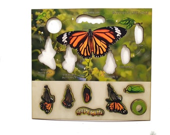 Houten puzzel levenscyclus vlinder: educatief montessorispeelgoed