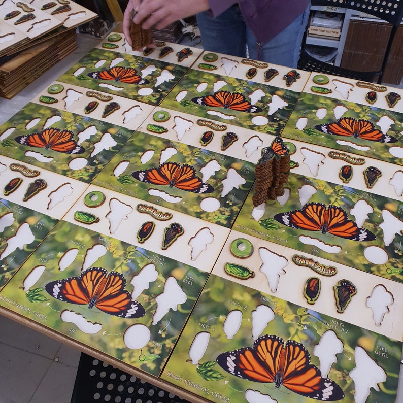 Butterfly Life Cycle Wooden Puzzle: Montessori Educational Toy - Etsy