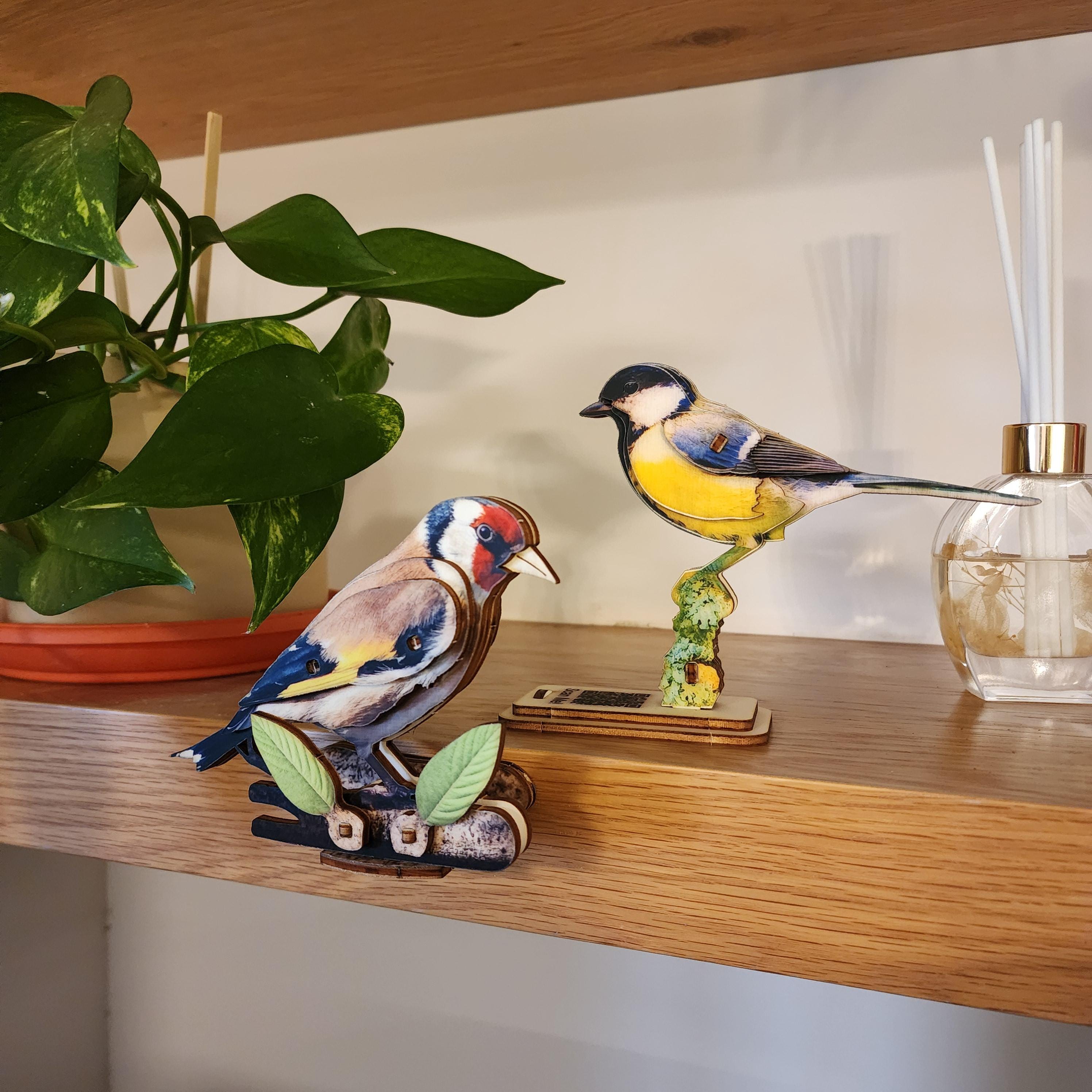 Pair of Birds