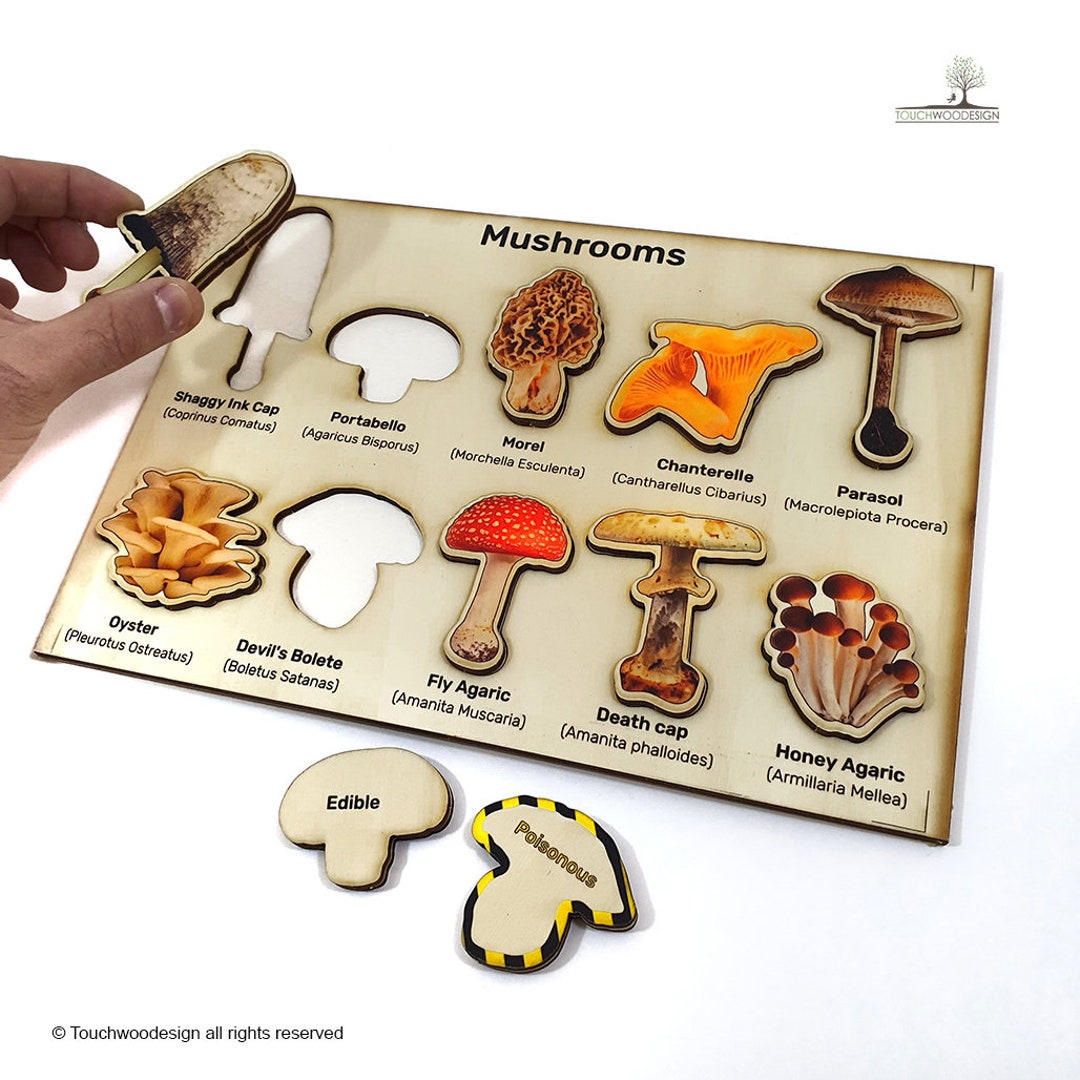 Puzzle champignon pour enfants en bois naturel multicolore