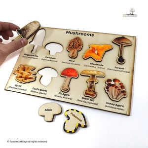 May include: Wooden puzzle with 12 different types of mushrooms, each with its scientific name and common name. The puzzle pieces are shaped like the mushrooms and fit into a wooden board. The board is labeled "Mushrooms" and has two sections labeled "Edible" and "Poisonous".