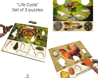 Set van 3 levenscycli - vlinder, kikker en kip - educatieve, niet-giftige houten puzzels - Montessorispeelgoed voor kinderen - laserkunst - handgemaakt