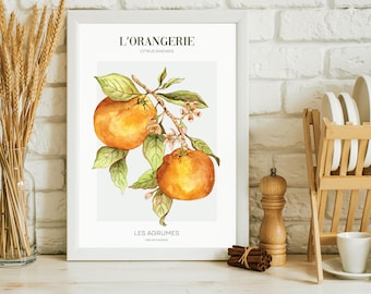 Orange Fruit Print, Kitchen Wall Art, Citrus, Botanical, Living Room art