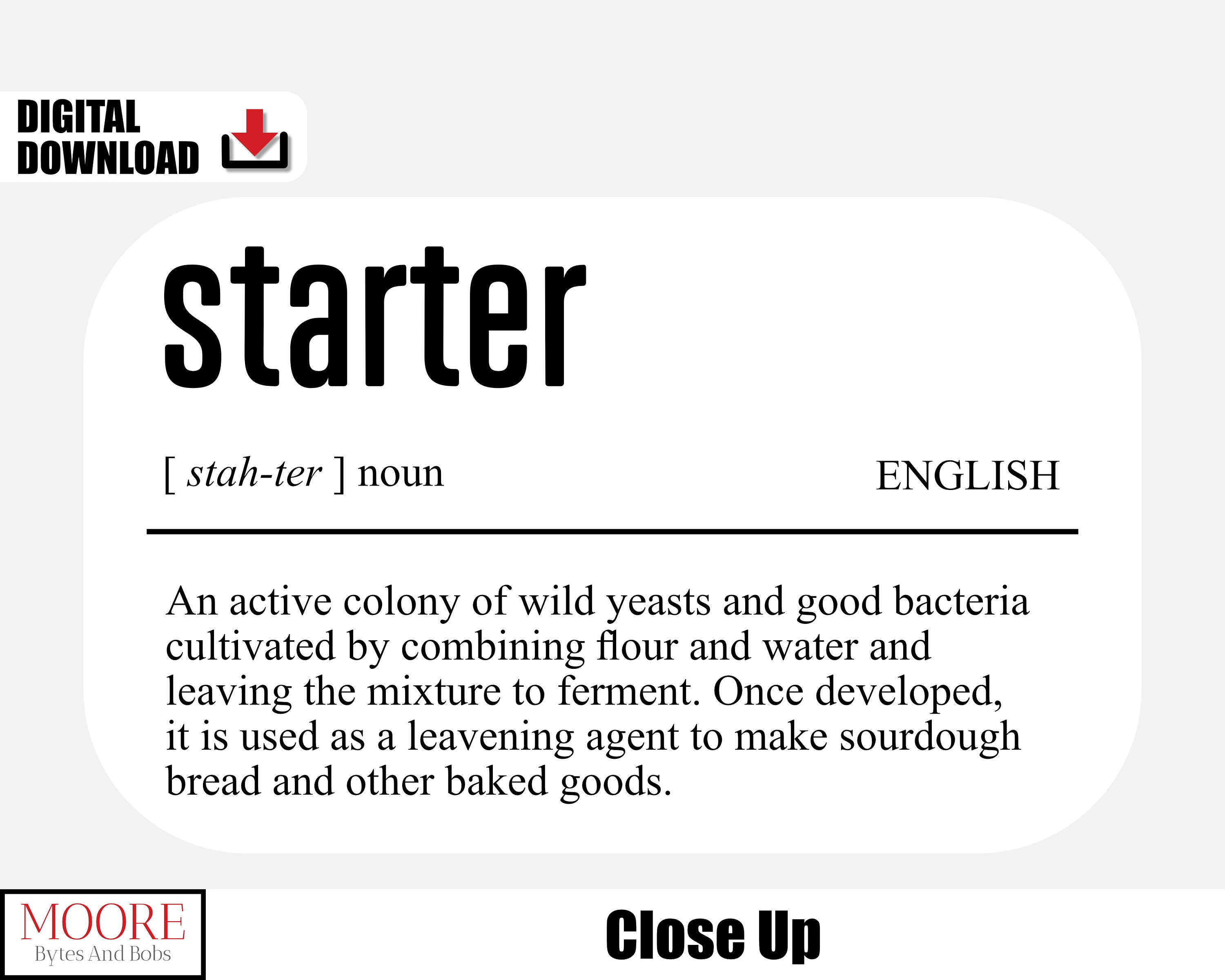 Sourdough Starter Definition, Digital Download Bakery Poster, Printable