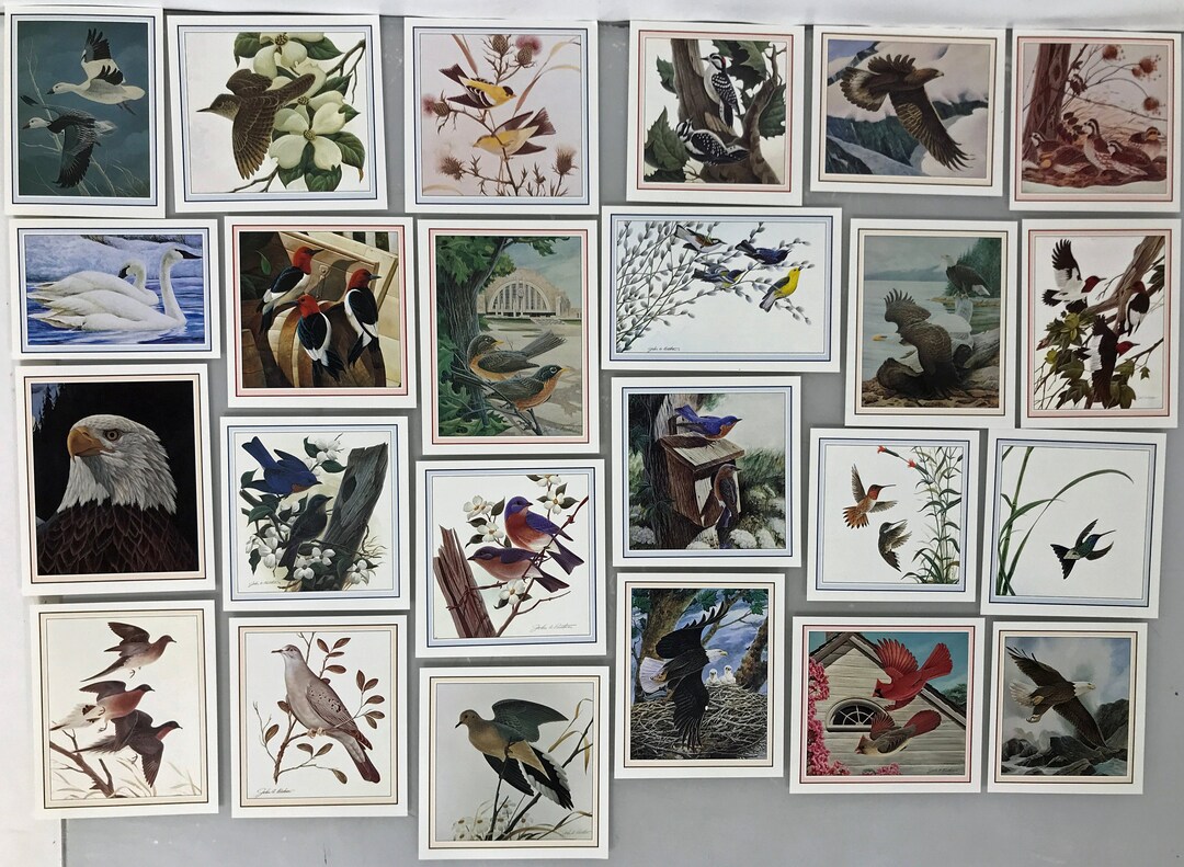Set of Bird Prints by John Ruthven Etsy