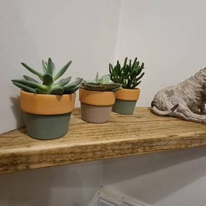 Pair of reclaimed scaffold board corner shelves, rustic industrial floating triangles for plants in a farmhouse-style corner.
