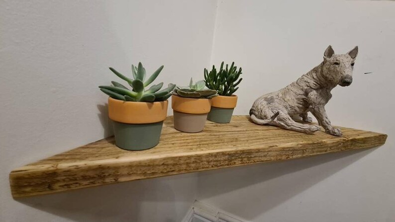 Pair of reclaimed scaffold board corner shelves, rustic industrial floating triangles for plants in a farmhouse-style corner.