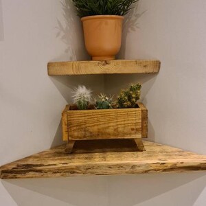 Pair of reclaimed scaffold board corner shelves, rustic industrial floating triangles for plants in a farmhouse-style corner.