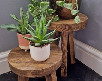 Wooden Plant Stand, Chunky Table Riser, Farmhouse Style Decor