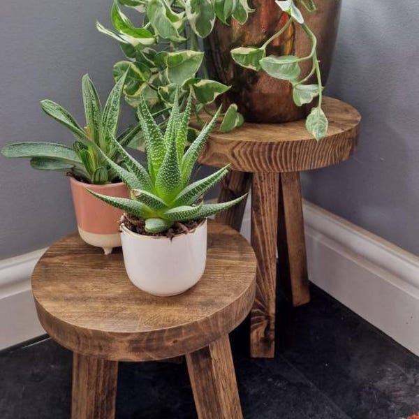 Wooden Plant Stand, Chunky Table Riser, Farmhouse Style Decor