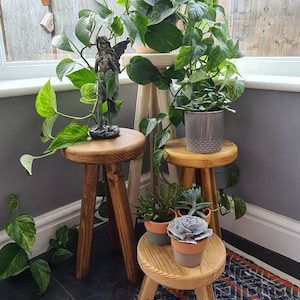 Plant Pot Stand - Reclaimed Scaffold Board Plant Pot Stool - Plant lover gift