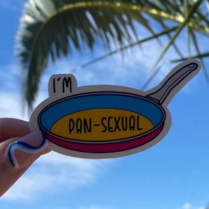 Im Pan-sexual Vinyl Pride Sticker - Etsy